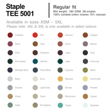 Load image into Gallery viewer, AS Colours T-Shirt & Hoodie Combo Printed Package 2